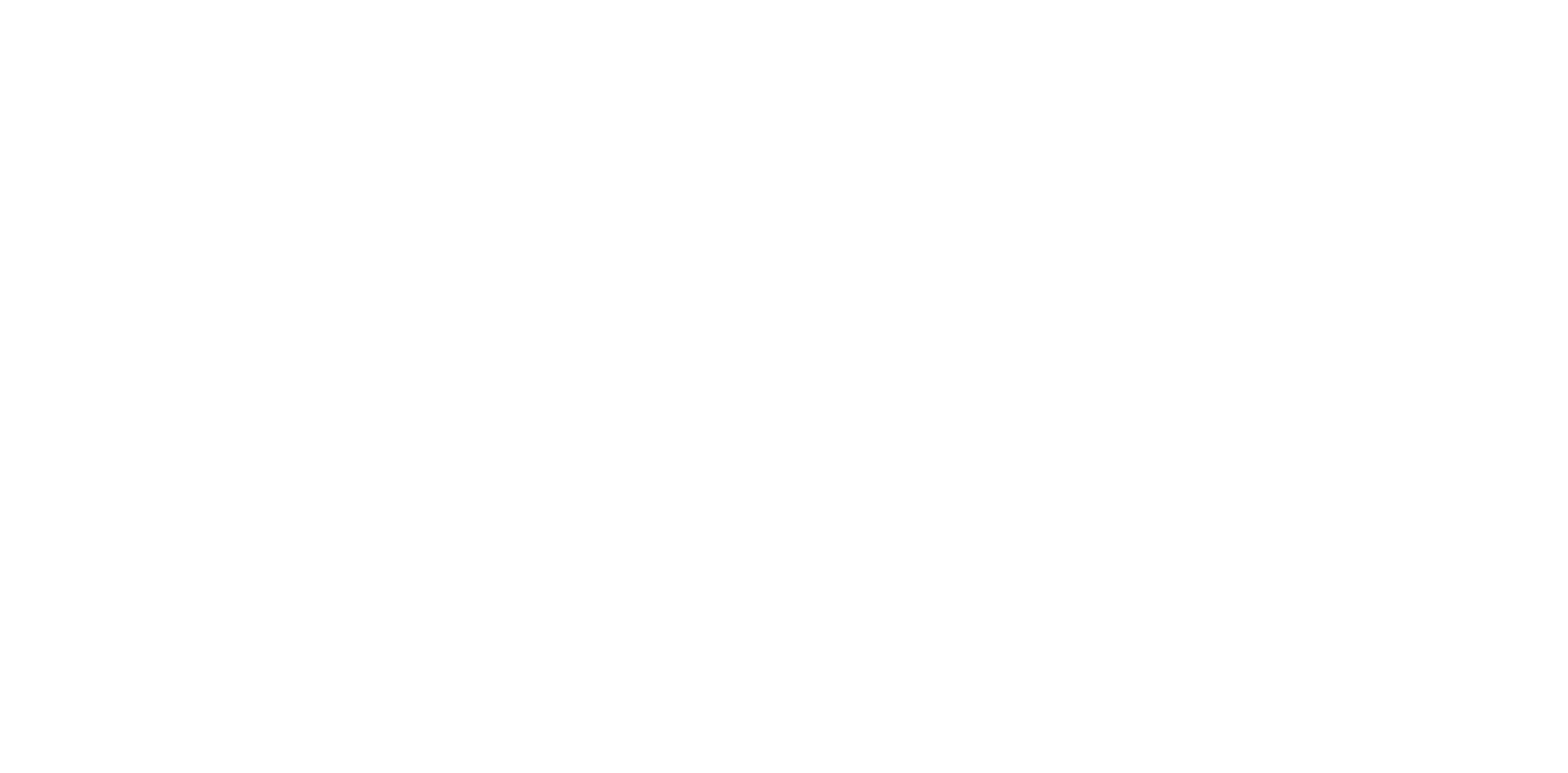 Project Eleven